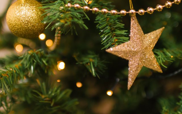 Merry Christmas and Happy New Year!