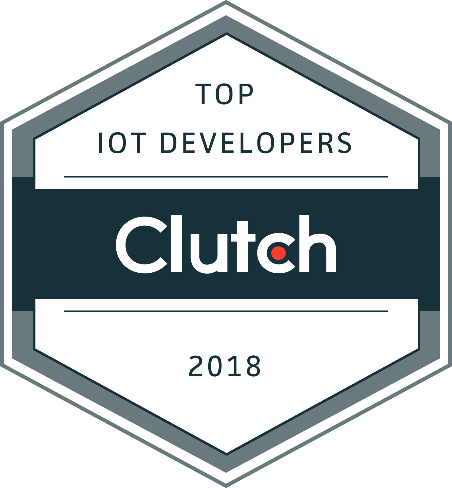 Top IoT Developers 2018
