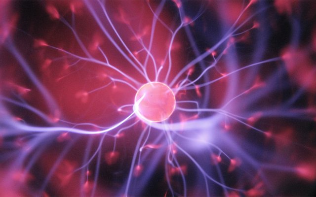 A Computer Vision solution to monitor cells viability and location